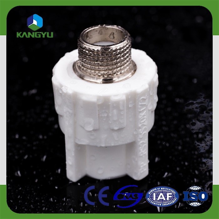 mees socket.jpg